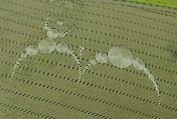 31-East-Field-Alton-Barnes-Wilts-07-07-2007-Wheat-OH