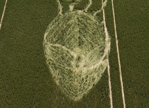 Read more about the article Take us to our leader!