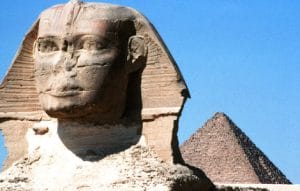 Read more about the article Fighting Cats and Dogs