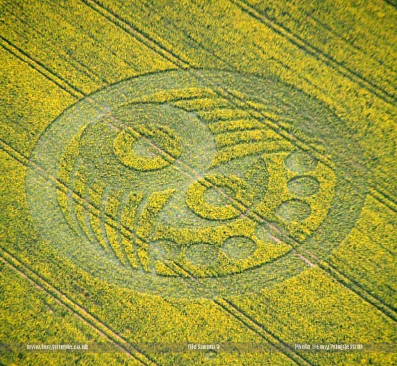 Read more about the article From glory to glory…