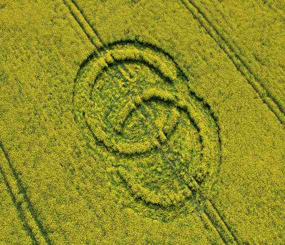 You are currently viewing Marrying and giving in marriage