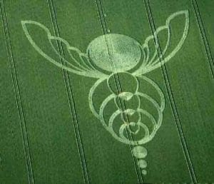 Read more about the article Returning to Eden the origins of life.