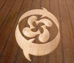 Read more about the article Shiver me timbers it is true!