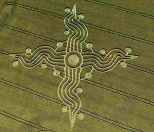 Read more about the article We learn nothing,  so why even bother?