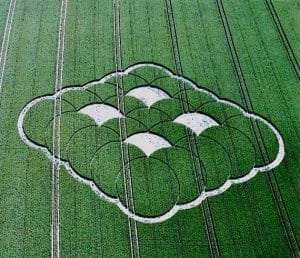 Read more about the article Show the shewbread every day of the year.