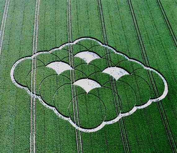 Read more about the article Show the shewbread every day of the year.