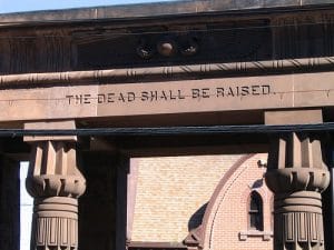 Read more about the article The dead shall rise the evil will not.