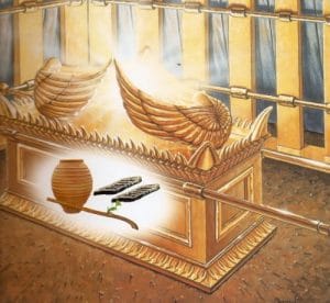 Read more about the article The heart of the tabernacle…The chest of Yashua.