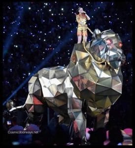 Read more about the article The woman and the beast…