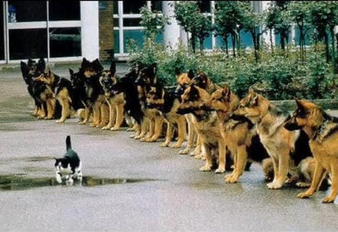 Read more about the article G-d’s sense of humor you have too love it.