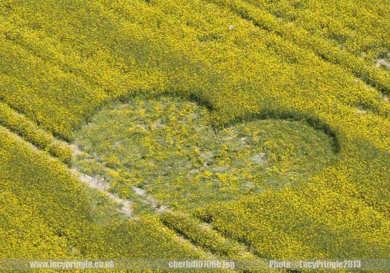 Read more about the article Delight in HIM and HE shall give you the desires of your Heart.