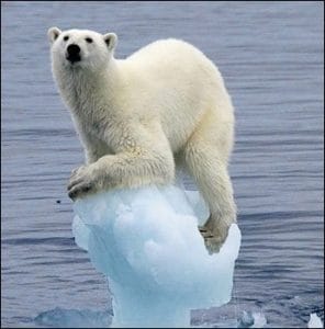 Read more about the article Not interested in protecting the world.