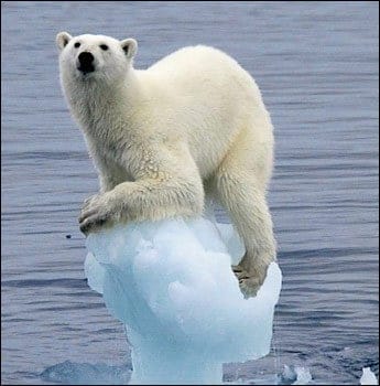 You are currently viewing Not interested in protecting the world.