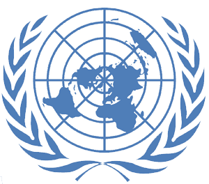 Read more about the article Our Final Model?