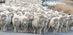 Read more about the article Shining Light on the “Falling Away”