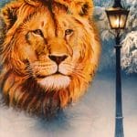 My Christmas Story is the Never Ending Story.