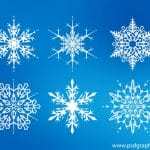 Treasures in the Snow