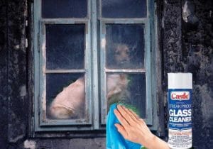 Read more about the article Operation Glass Cleaner