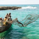 New Website Up and Running GREAT NET FISHING ~ The Final Haul.