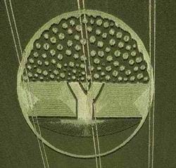 Read more about the article Knowledge of Good and Evil