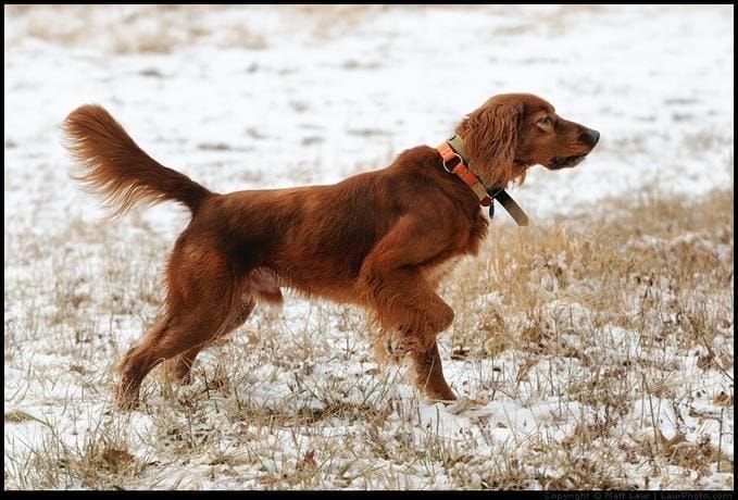 Read more about the article I Only Point to the Antichrist