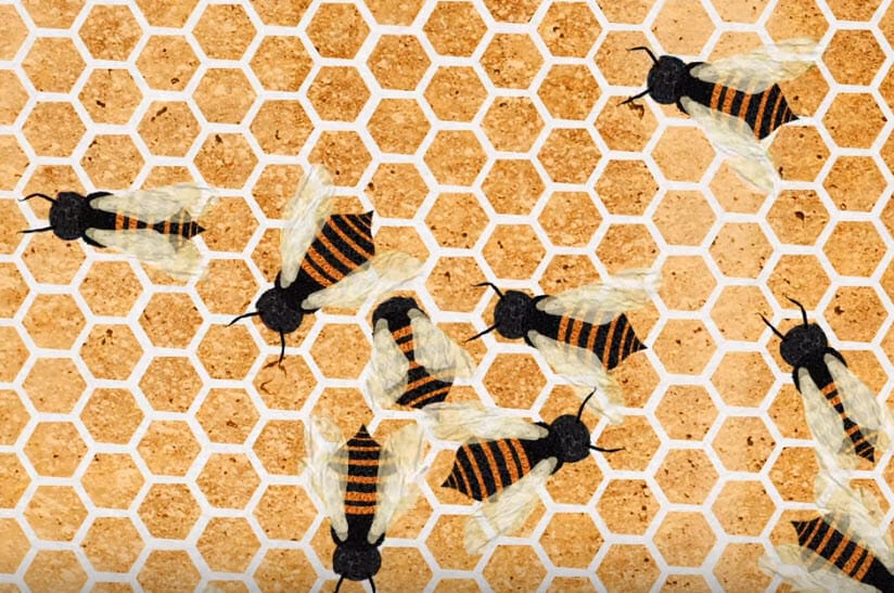 You are currently viewing Bee Smart Bitter Waters or Sweet Water Which Will it be?