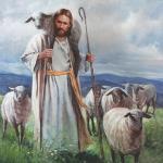 Where are the Good Shepherds?