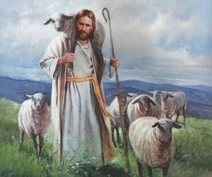Read more about the article Where are the Good Shepherds?