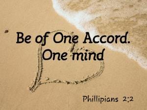 Read more about the article In One Accord