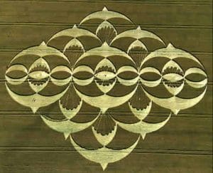 Read more about the article Episode Twenty-Four 12 Birds in Flight We Will Fly Away