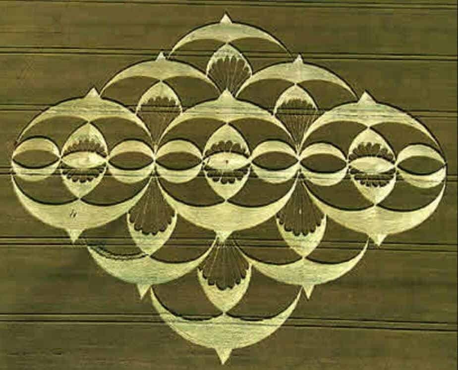 You are currently viewing Episode Twenty-Four 12 Birds in Flight We Will Fly Away