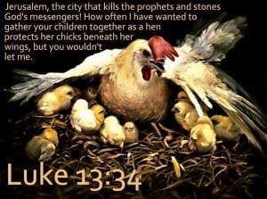 Read more about the article The Wings of Jesus by Divine Design. I Found the Other Wing!