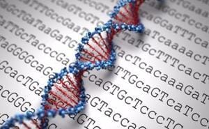 Read more about the article Spies Are Not the Only Ones With Encoded Messages – God is in the details.