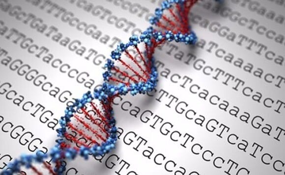 Read more about the article Spies Are Not the Only Ones With Encoded Messages – God is in the details.