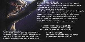 Read more about the article Destiny Interrupted the Purpose of Christ