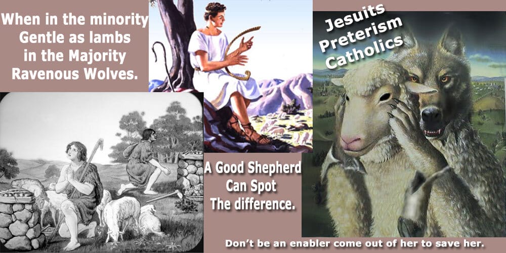 Read more about the article Gentle as Lambs or Ravenous Wolves We Have a Choice.