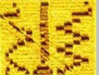 Read more about the article Getting the Message Part 4 “The Double Helix”