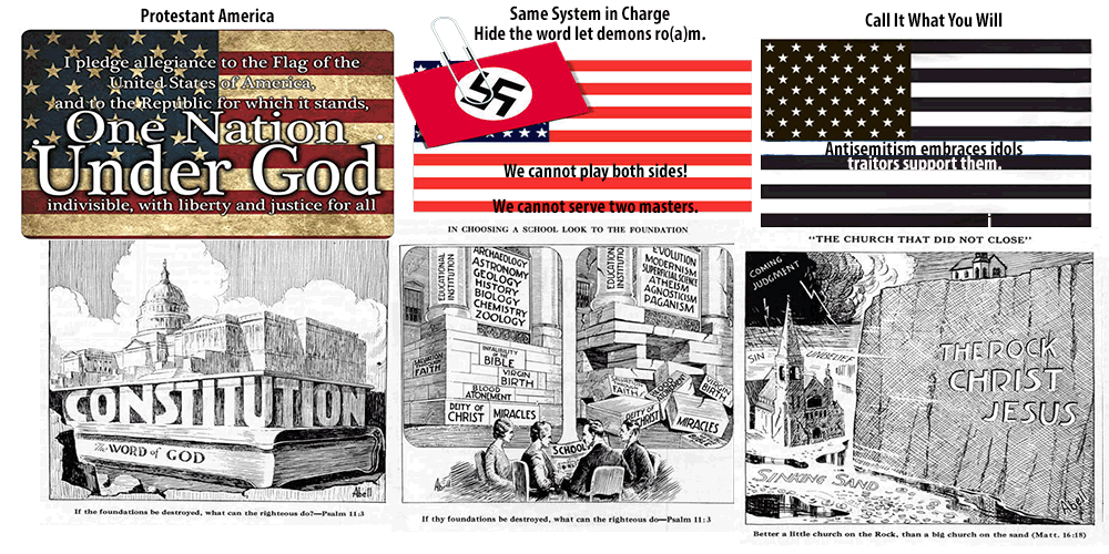 Read more about the article The Truth about Natural Selection