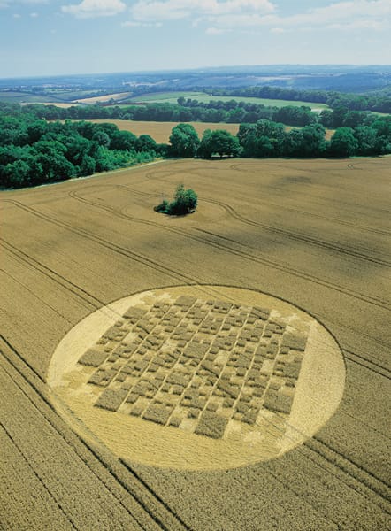 Read more about the article Einstein Said It “God Does Not Play Dice With The Universe”