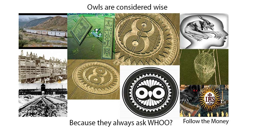 Read more about the article We Showed Him Who’s Boss.