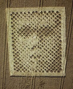 Read more about the article Shameless Plug