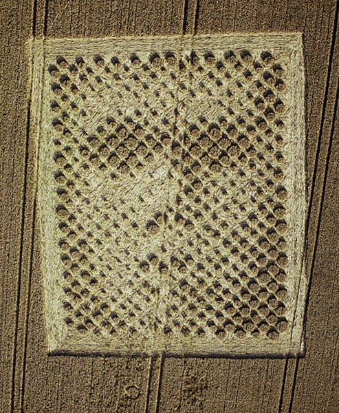 Read more about the article Shameless Plug