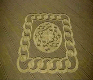 Read more about the article Reading the Bible for Yourself is Fundamental <span class="pa-callout-right">More Light Added</span>