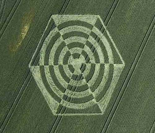 Read more about the article American Mercy