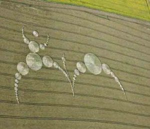 Read more about the article Transgender and the art of Confusion