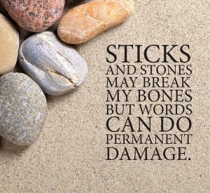 Read more about the article Sticks and Stones